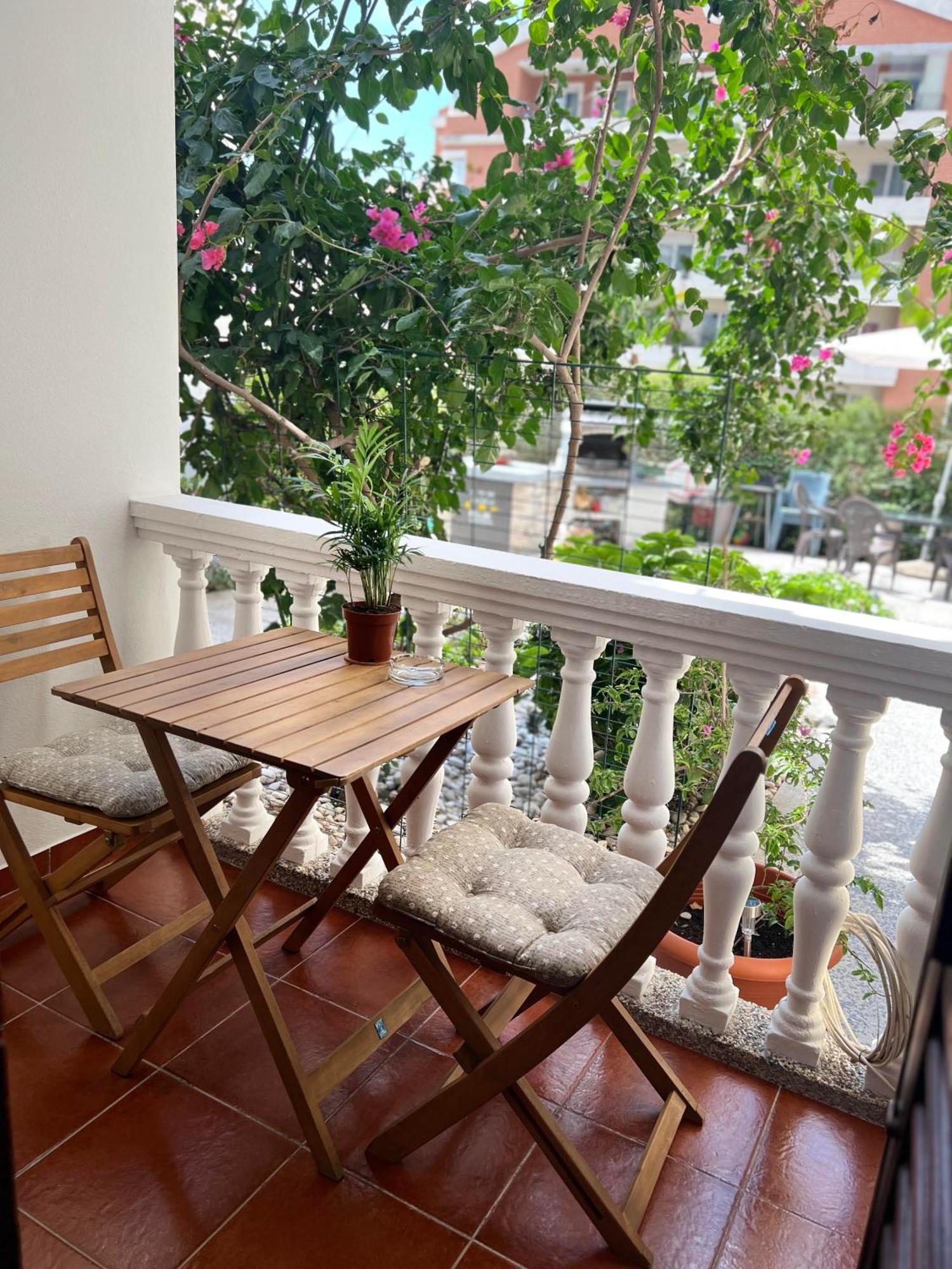 Villa Dionis Budva Buitenkant foto